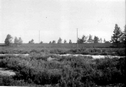 Am Schierhorner Weg (1919)