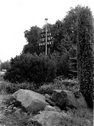 Dorfplatz mit Maibaum