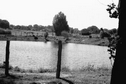 Regenrückhaltebecken in den "Tiefen Wiesen"