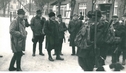 Treibjagd 1965