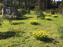 Asendorf blüht auf